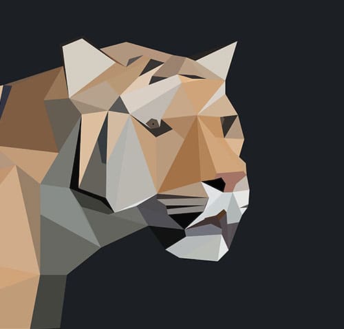 vector image of tiger